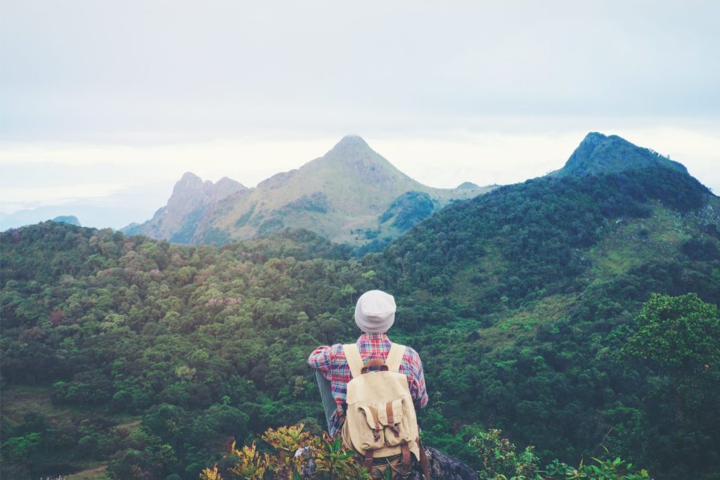 Und jetzt für ein süßes Tier, das durch ein Feld rollt, um Ihren Tag zu erhellen